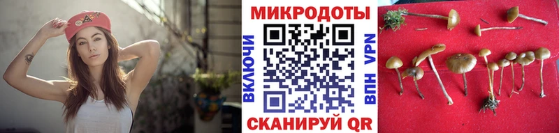 Псилоцибиновые грибы GOLDEN TEACHER  Зима 