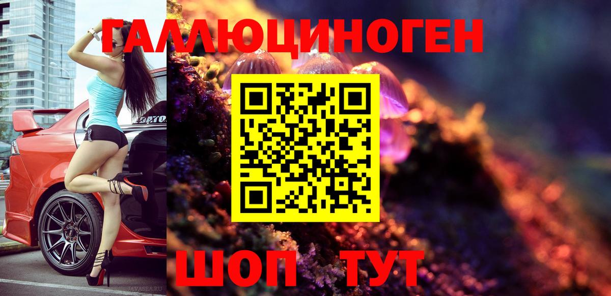 Псилоцибиновые грибы мицелий Зима