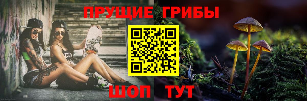 Галлюциногенные грибы MAGIC MUSHROOMS  Псилоцибиновые грибы мицелий  Вход с VPN  Зима 